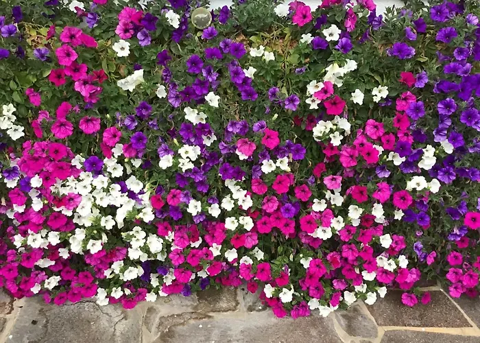 Gaestehaus Wanker בית הארחה 3*